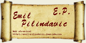 Emil Pilindavić vizit kartica